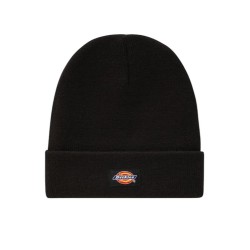 Dickies cappello